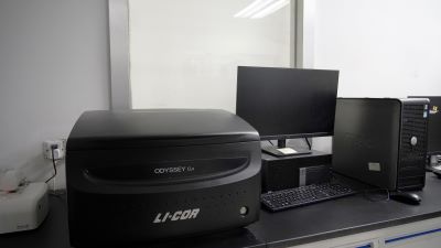 双色红表激光成像仪