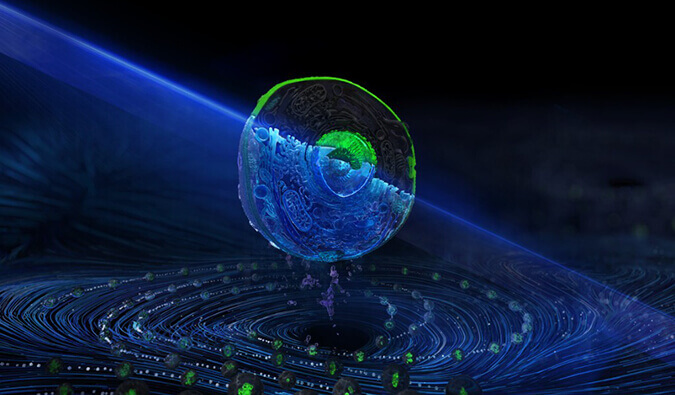 和记H88流式细胞分选服务平台