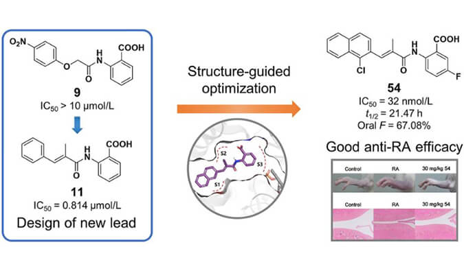 设计合成一系列DHODH抑造剂作为潜在的类风湿性关节炎医治药物，本钻研中PK尝试通过和记H88进行