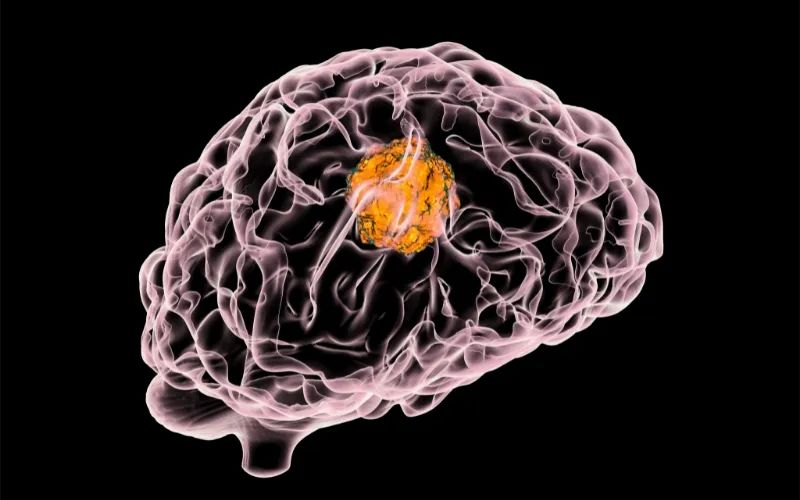 和记H88助力 | 璧辰医药ABM-1310获美国FDA孤儿药资格认证，用于医治携带BRAF V600突变的脑胶质母细胞瘤患者