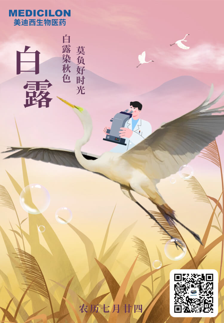 白露染秋色，莫负好时光.jpg