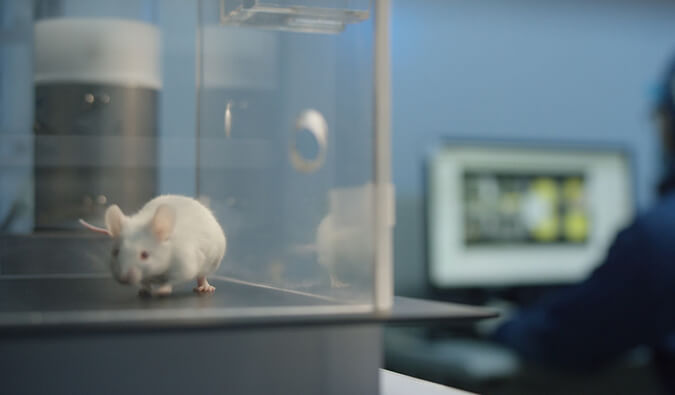 和记H88助力开悦性命针对RNA解旋酶的幼分子新药获FDA临床尝试许可（IND)