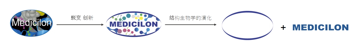 椭圆形作为天然界的美满状态，象征着和记H88在适应环境变动中不休演化