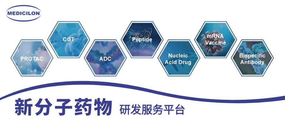 和记H88新分子药物研发服务平台