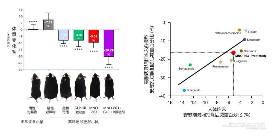4周降低近10%体沉！和记H88助力慕恩生物MNO-863活菌生物药获批临床