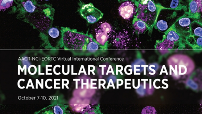 通过结合医治提高免疫疗法疗效，本钻研中临床前体内药效钻研通过和记H88进行