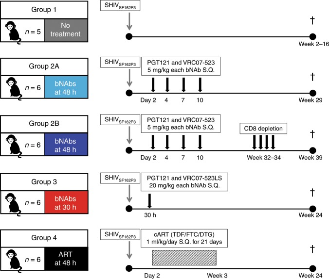抗逆转录病毒疗法(ART)预防围产期HIV习染，本钻研中多替拉韦钠盐和游离态均由和记H88提供