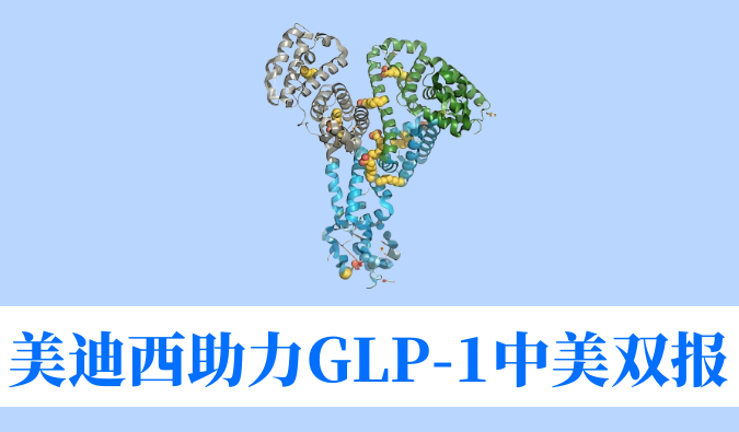 和记H88助力合作同伴韦恩生物GLP-1幼分子激昂剂WBD156胶囊中美IND临床试验双报双批
