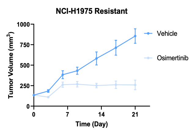 NCI-H1975奥希替尼耐药NSCLC模型-体内药效筛选-2.png