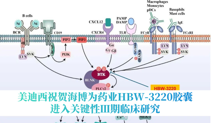 破解耐药性难题，和记H88祝贺海博为药业HBW-3220胶囊进入关键性Ⅲ期临床钻研